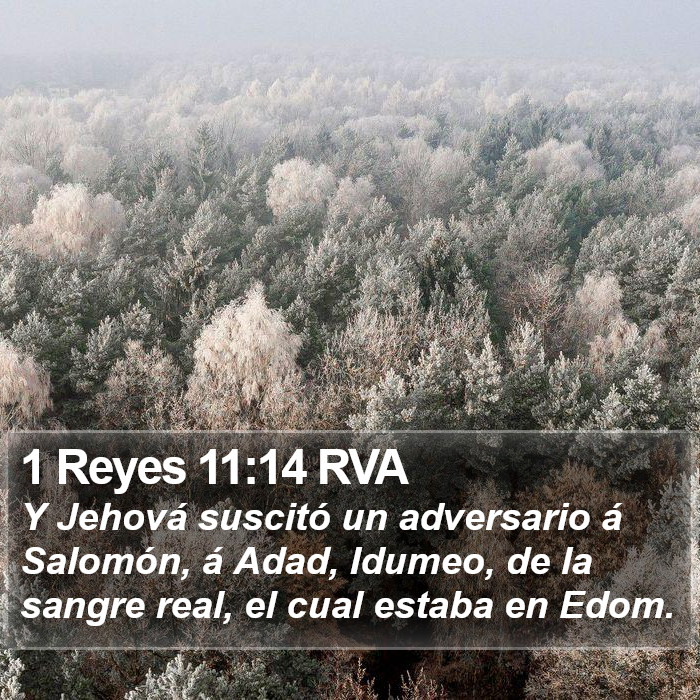 1 Reyes 11:14 RVA Bible Study