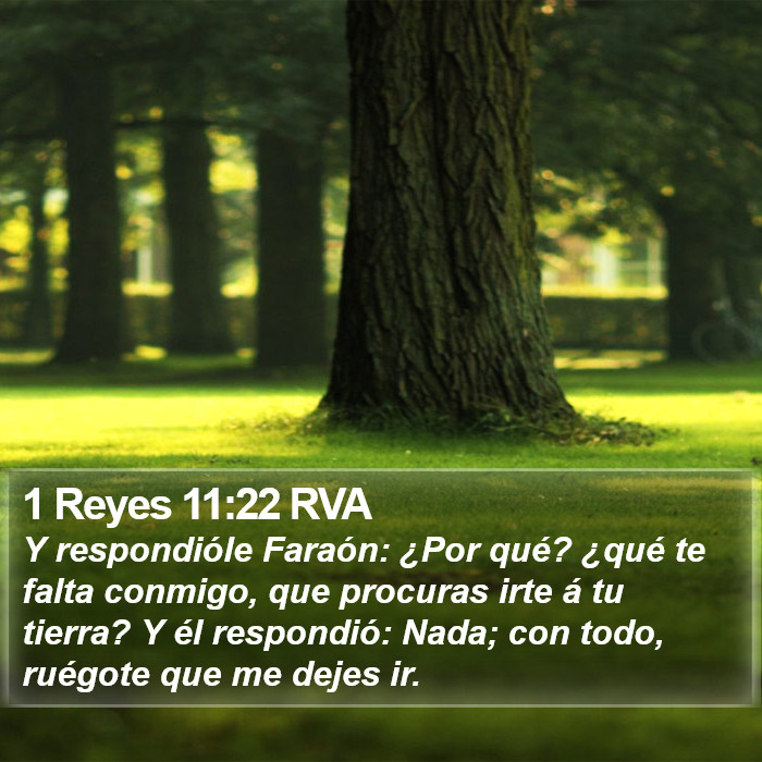 1 Reyes 11:22 RVA Bible Study