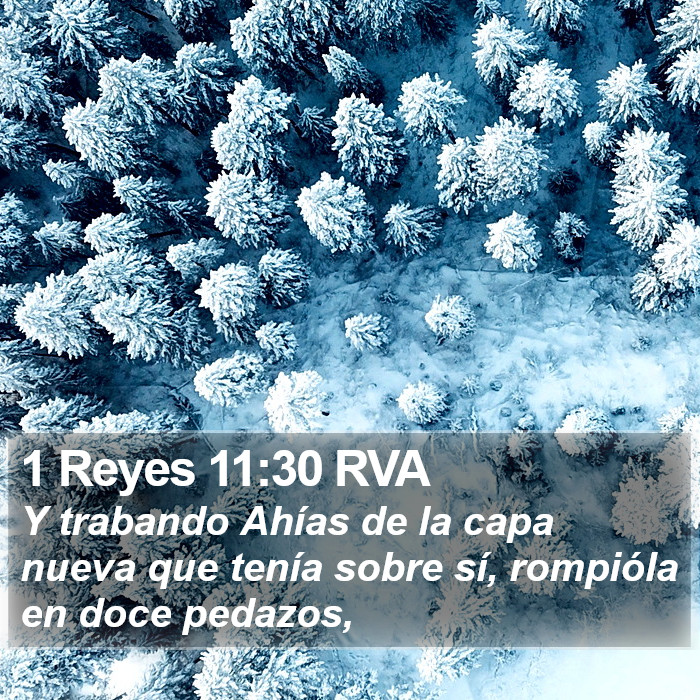 1 Reyes 11:30 RVA Bible Study