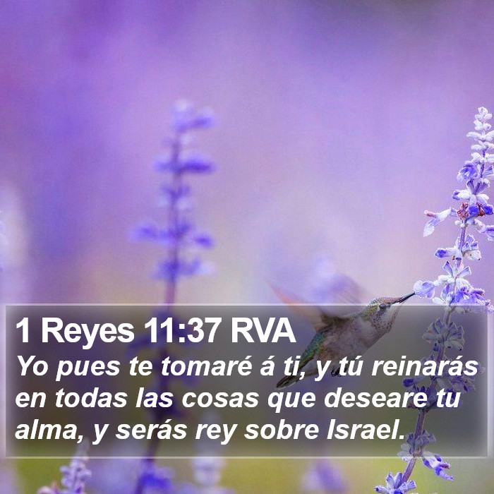 1 Reyes 11:37 RVA Bible Study