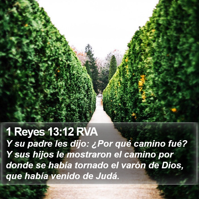 1 Reyes 13:12 RVA Bible Study