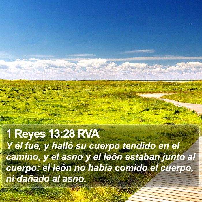 1 Reyes 13:28 RVA Bible Study