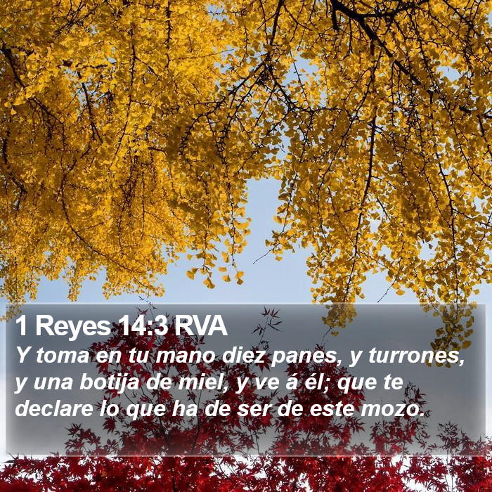 1 Reyes 14:3 RVA Bible Study