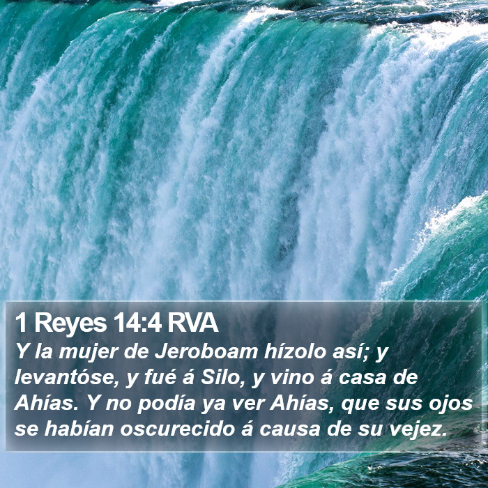 1 Reyes 14:4 RVA Bible Study