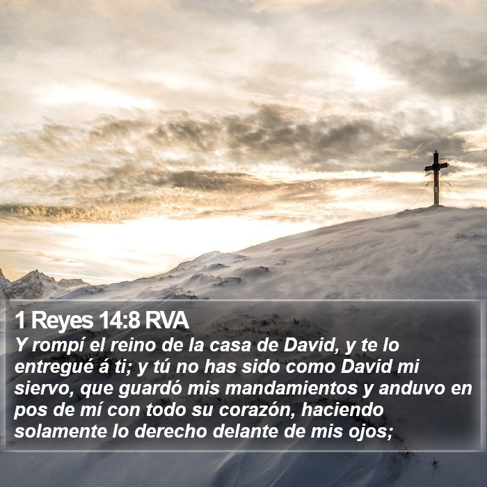 1 Reyes 14:8 RVA Bible Study