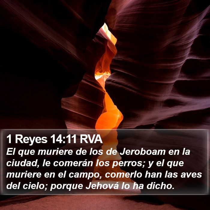 1 Reyes 14:11 RVA Bible Study