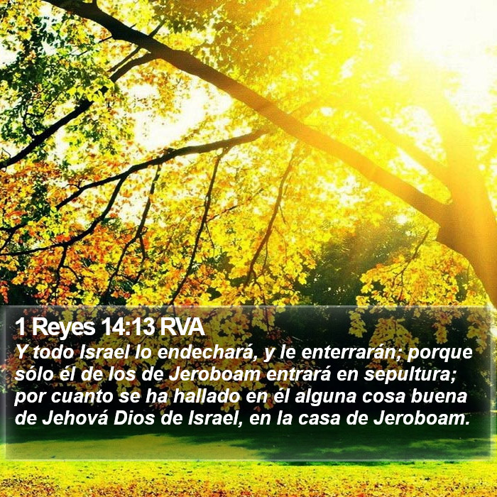 1 Reyes 14:13 RVA Bible Study