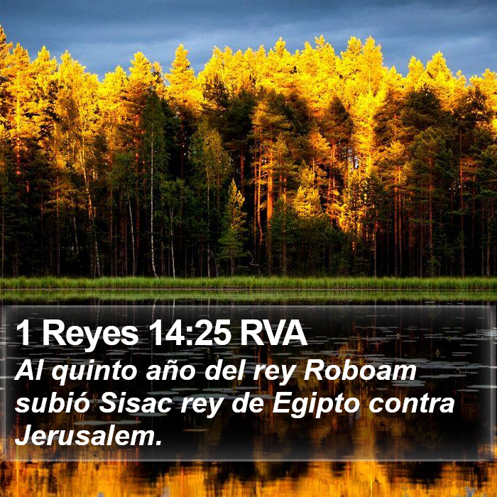 1 Reyes 14:25 RVA Bible Study