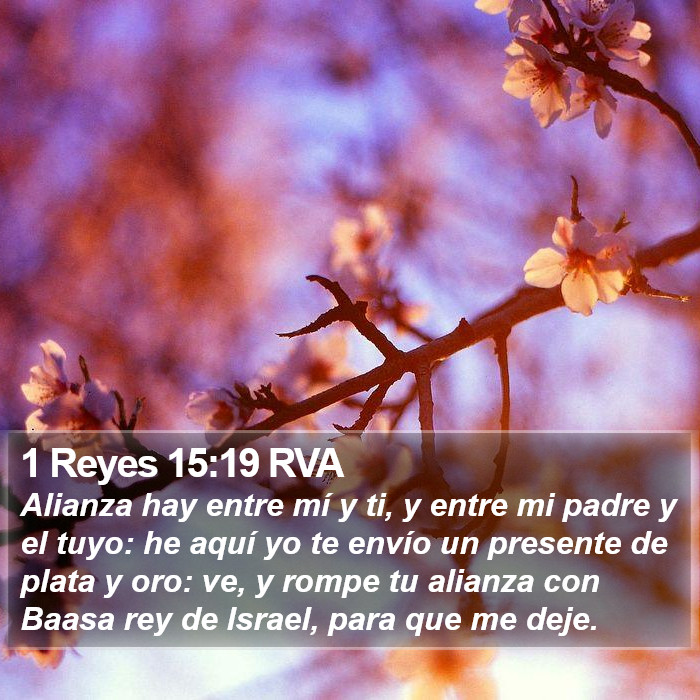 1 Reyes 15:19 RVA Bible Study