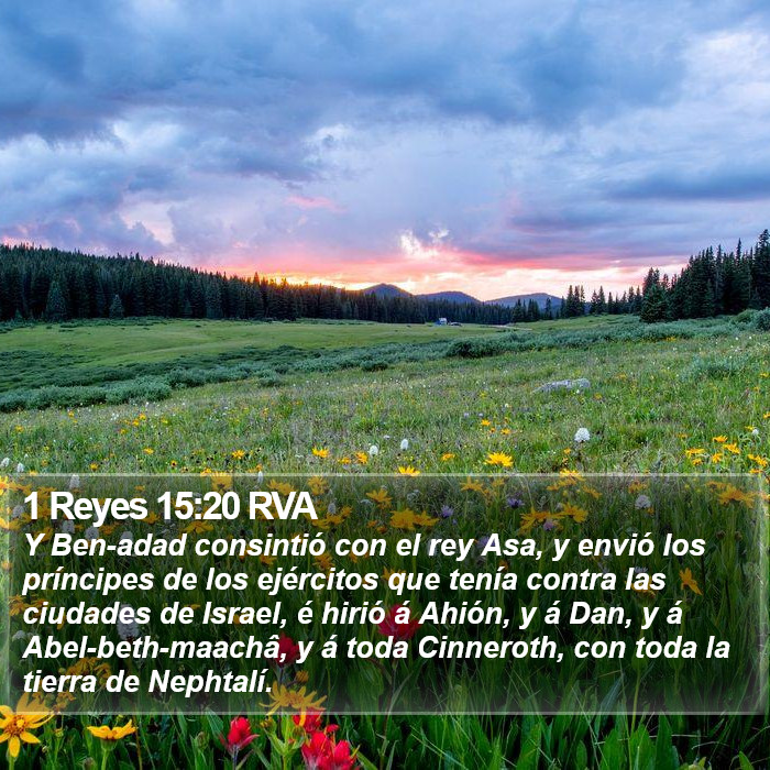 1 Reyes 15:20 RVA Bible Study
