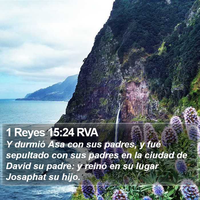1 Reyes 15:24 RVA Bible Study