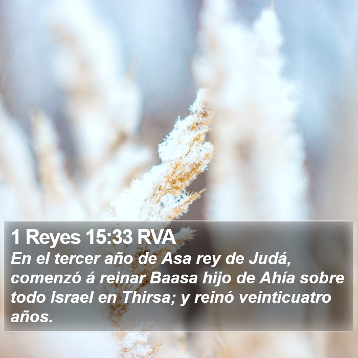 1 Reyes 15:33 RVA Bible Study