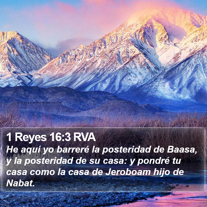 1 Reyes 16:3 RVA Bible Study