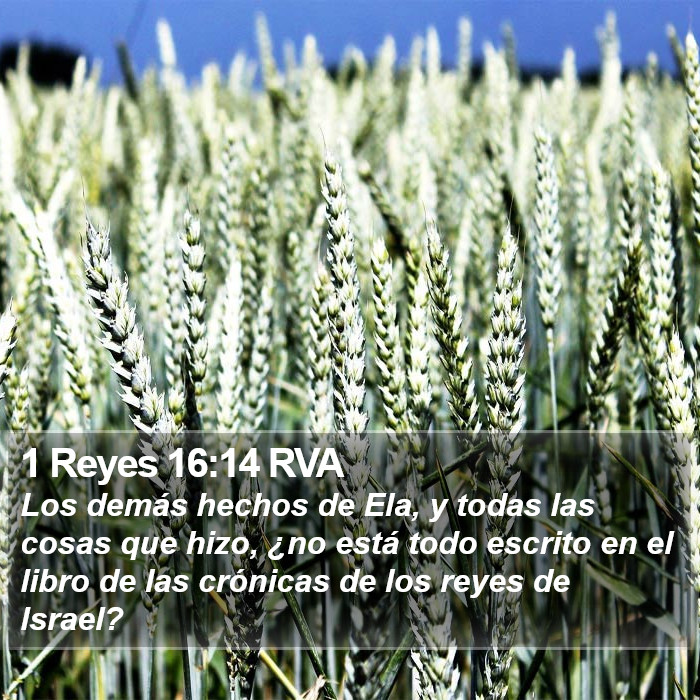 1 Reyes 16:14 RVA Bible Study