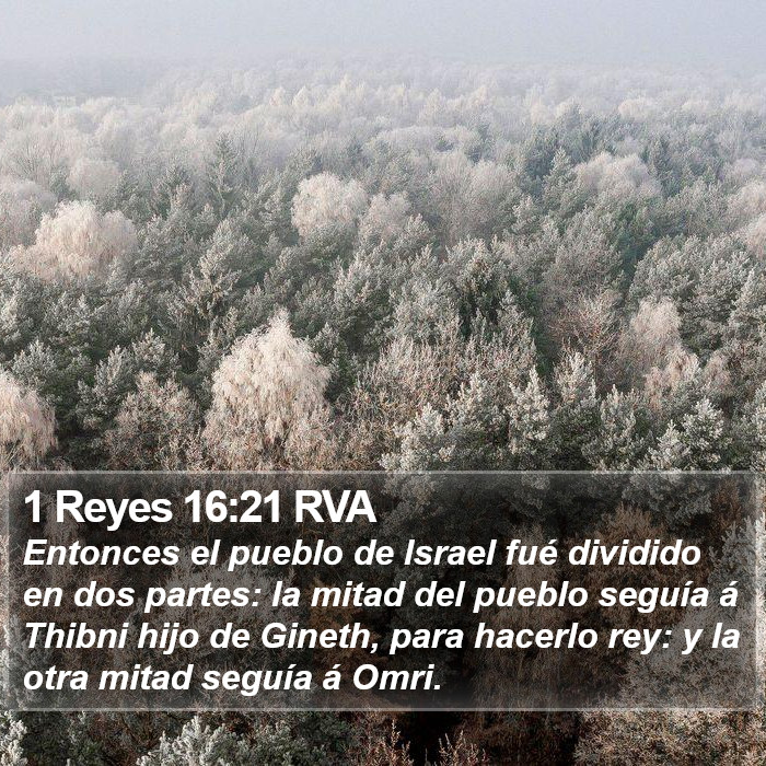 1 Reyes 16:21 RVA Bible Study