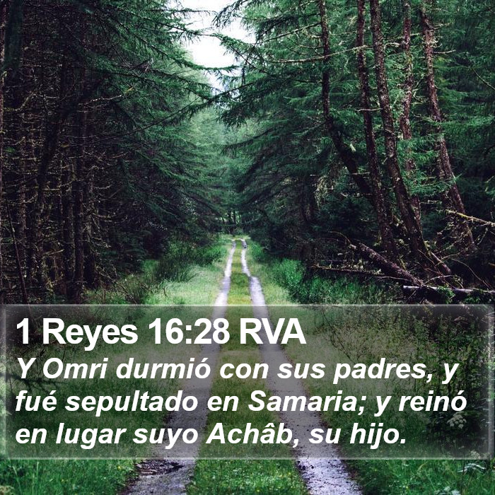 1 Reyes 16:28 RVA Bible Study