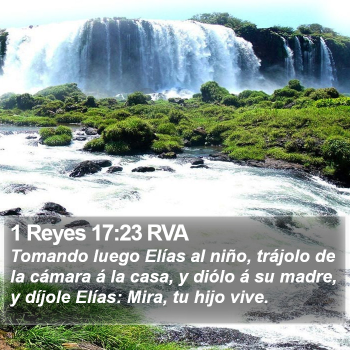 1 Reyes 17:23 RVA Bible Study