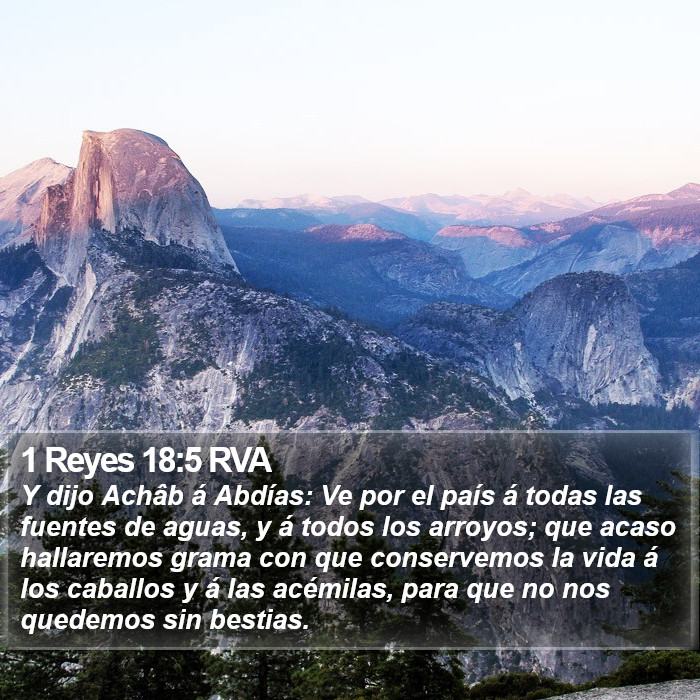 1 Reyes 18:5 RVA Bible Study