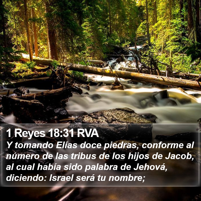 1 Reyes 18:31 RVA Bible Study