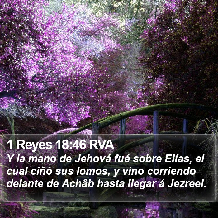 1 Reyes 18:46 RVA Bible Study