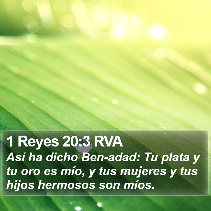 1 Reyes 20:3 RVA Bible Study