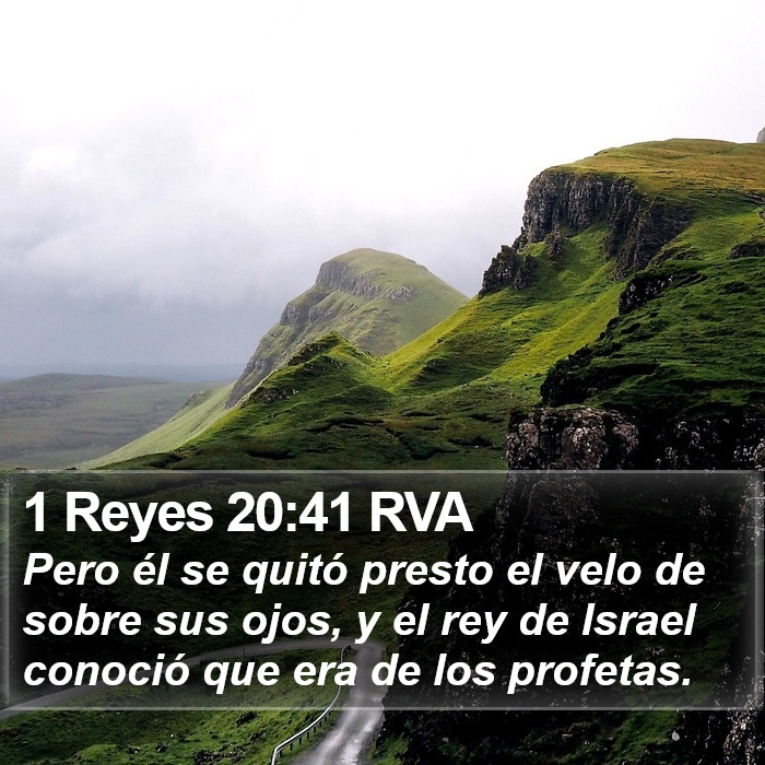 1 Reyes 20:41 RVA Bible Study