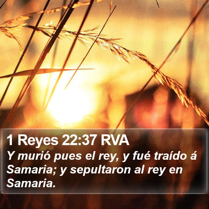 1 Reyes 22:37 RVA Bible Study