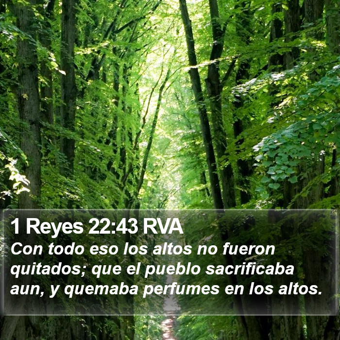 1 Reyes 22:43 RVA Bible Study