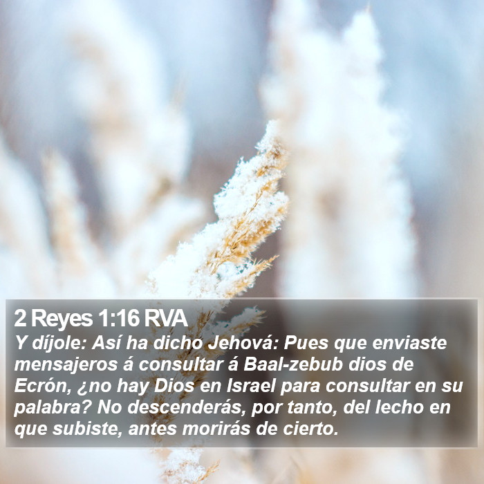 2 Reyes 1:16 RVA Bible Study