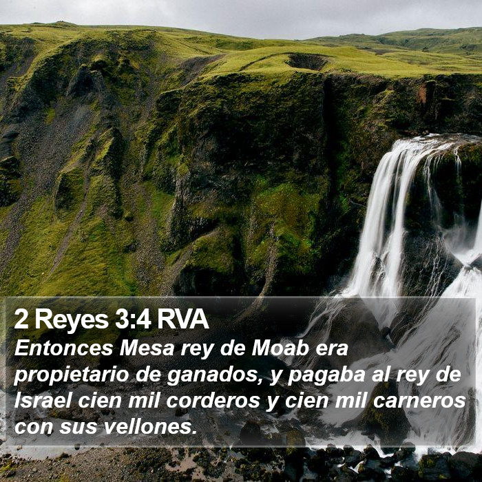 2 Reyes 3:4 RVA Bible Study