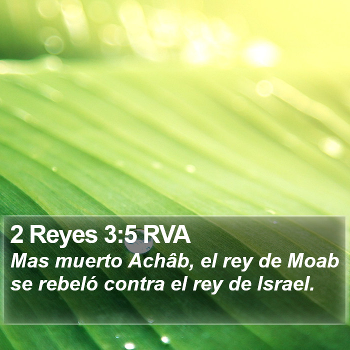 2 Reyes 3:5 RVA Bible Study