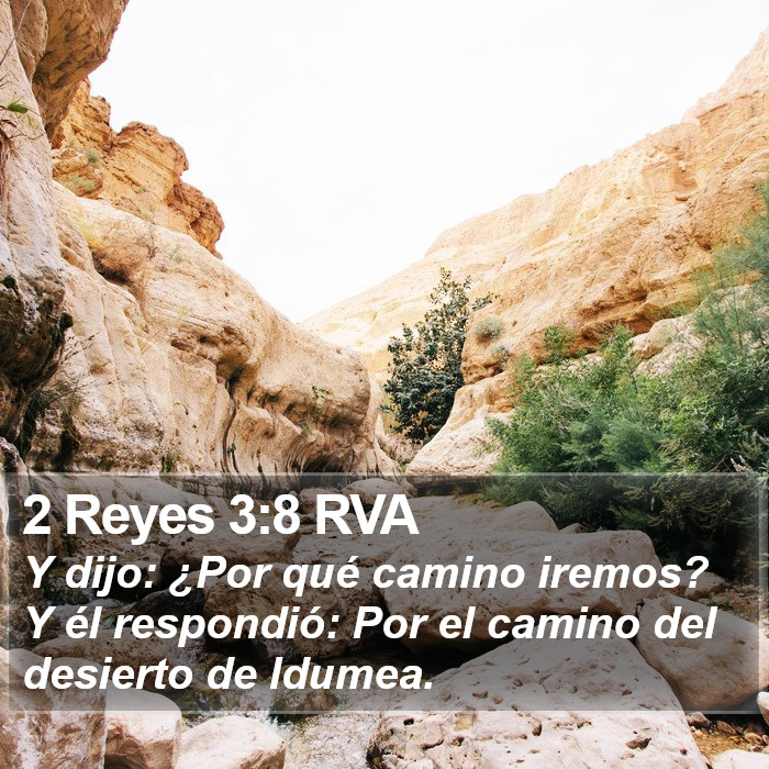 2 Reyes 3:8 RVA Bible Study