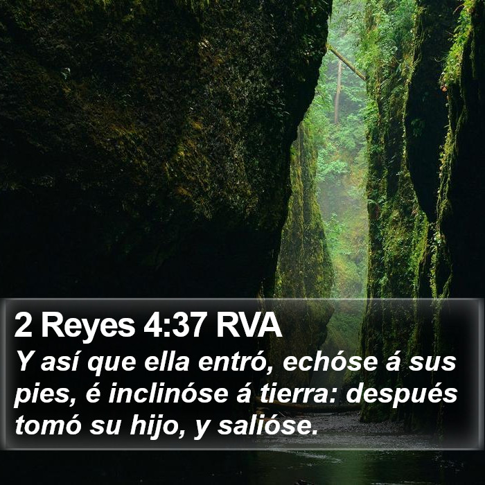 2 Reyes 4:37 RVA Bible Study