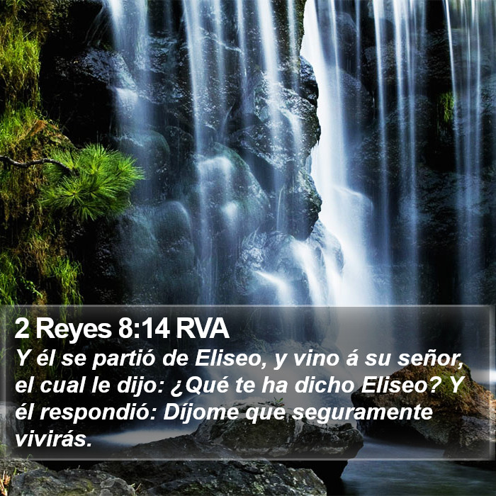2 Reyes 8:14 RVA Bible Study
