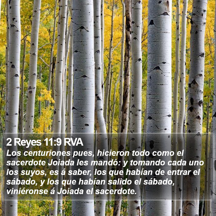 2 Reyes 11:9 RVA Bible Study