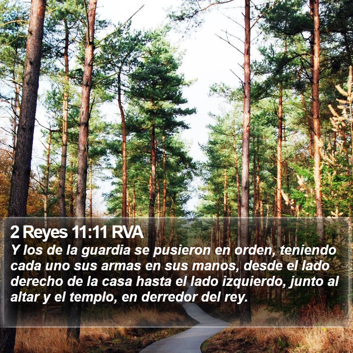 2 Reyes 11:11 RVA Bible Study