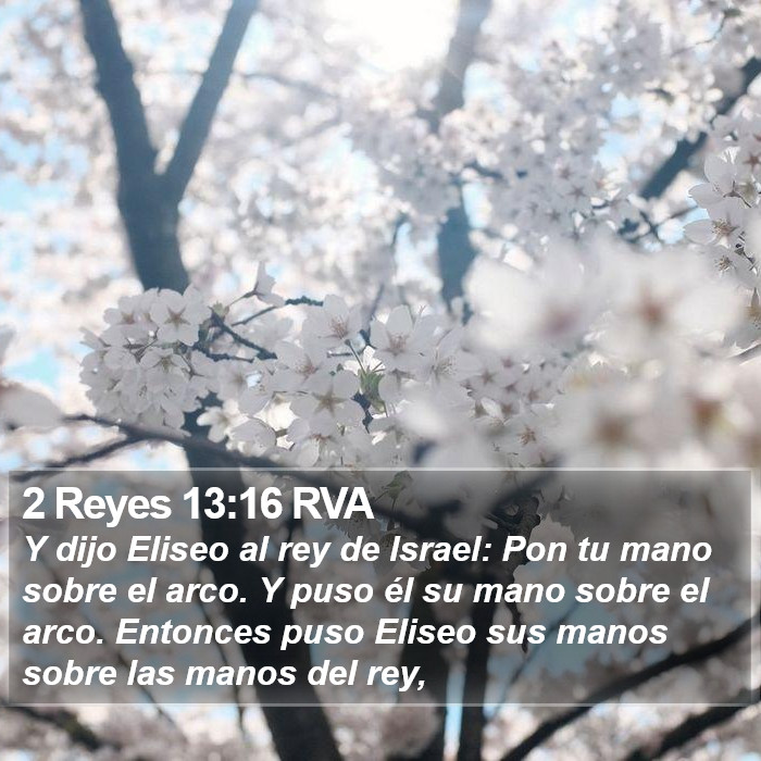 2 Reyes 13:16 RVA Bible Study