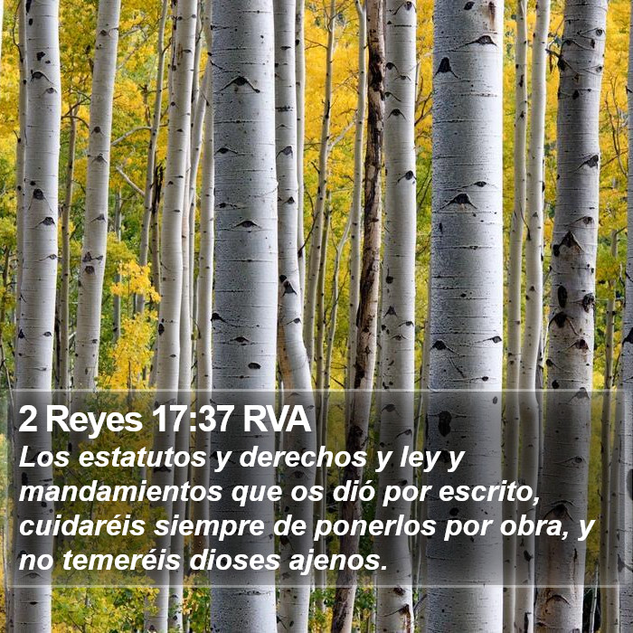 2 Reyes 17:37 RVA Bible Study