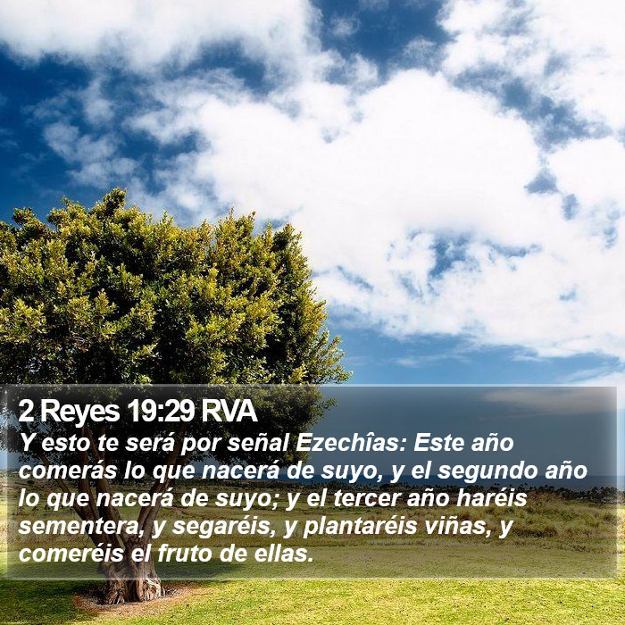 2 Reyes 19:29 RVA Bible Study