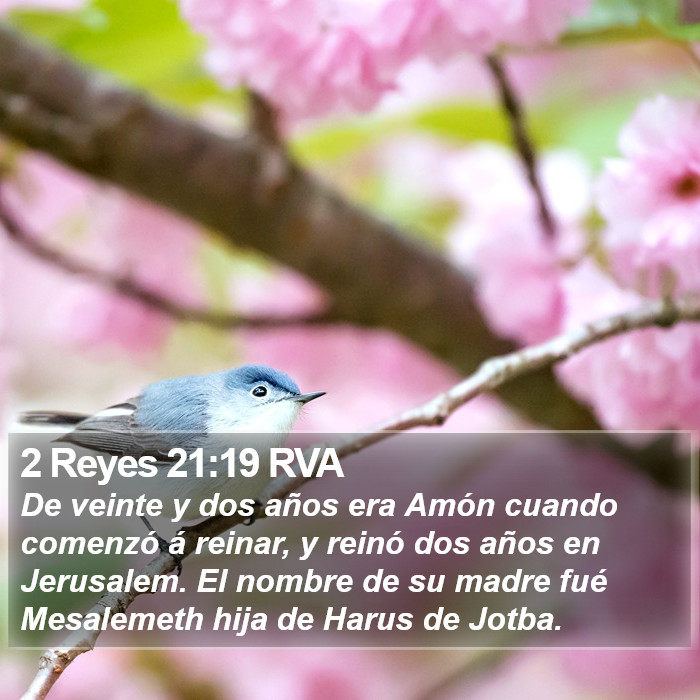 2 Reyes 21:19 RVA Bible Study