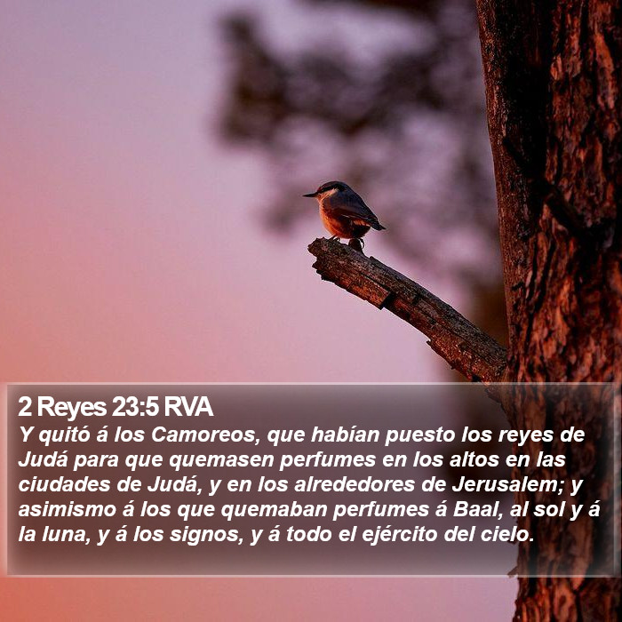 2 Reyes 23:5 RVA Bible Study