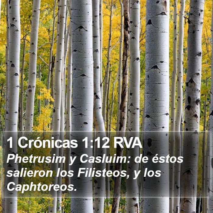 1 Crónicas 1:12 RVA Bible Study