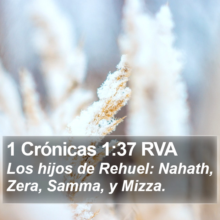 1 Crónicas 1:37 RVA Bible Study