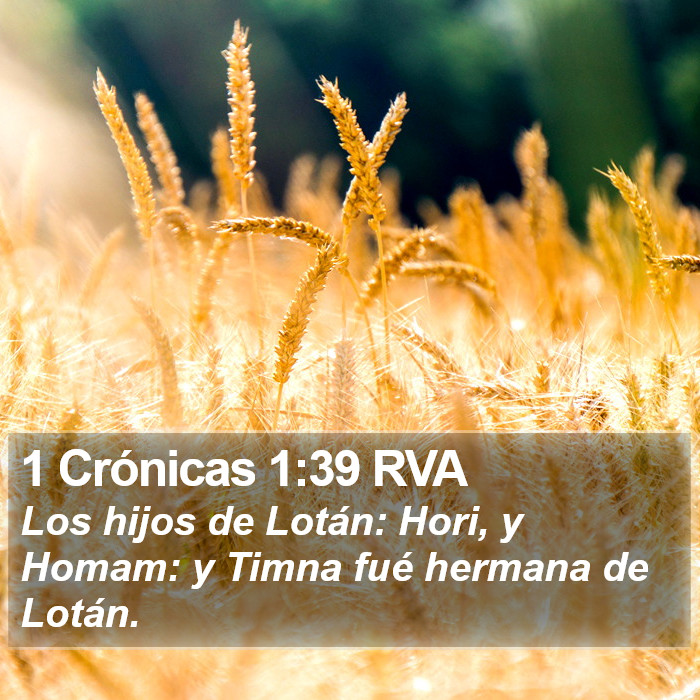 1 Crónicas 1:39 RVA Bible Study