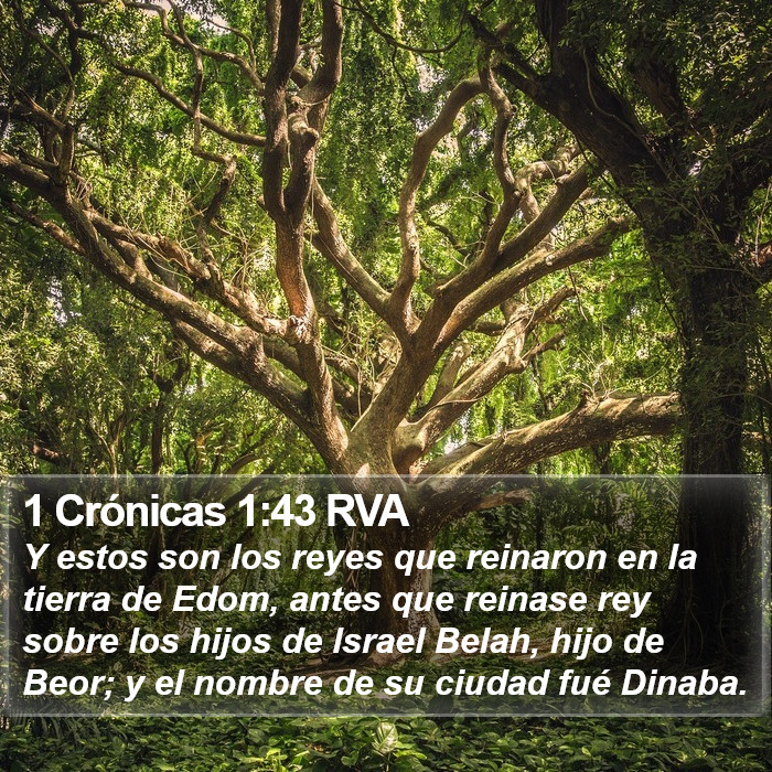 1 Crónicas 1:43 RVA Bible Study