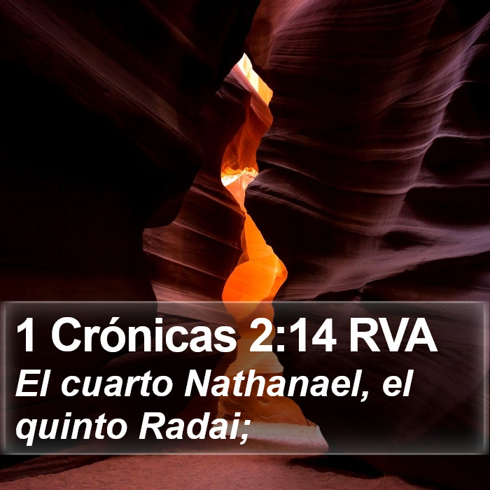 1 Crónicas 2:14 RVA Bible Study