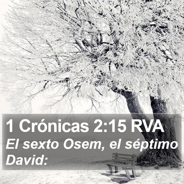 1 Crónicas 2:15 RVA Bible Study