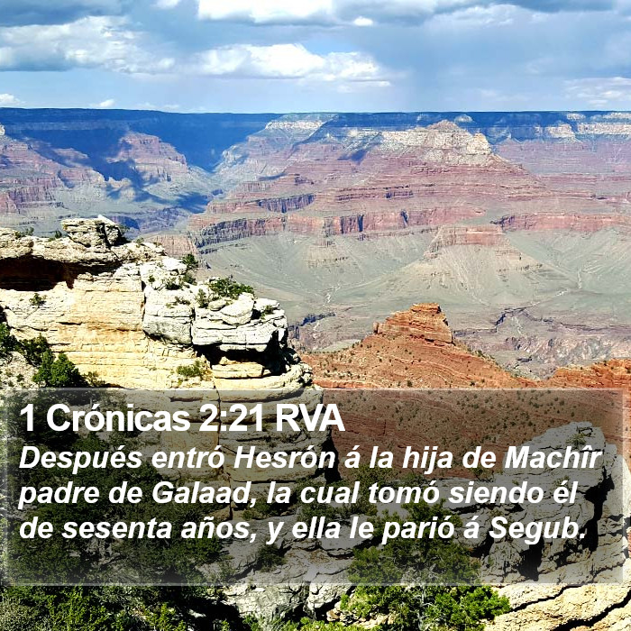 1 Crónicas 2:21 RVA Bible Study