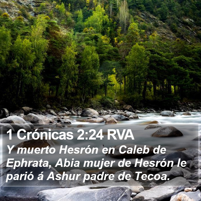 1 Crónicas 2:24 RVA Bible Study