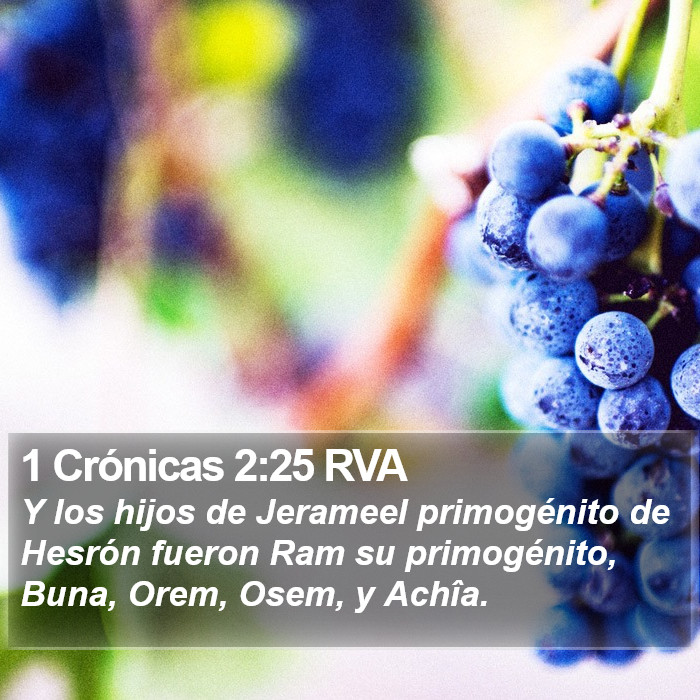 1 Crónicas 2:25 RVA Bible Study